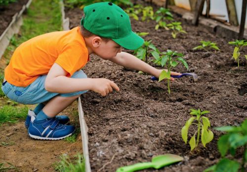 images/blog-images/Preschool-Nursery-Children-&-The-Benefits-of-Gardening.jpg#joomlaImage://local-images/blog-images/Preschool-Nursery-Children-&-The-Benefits-of-Gardening.jpg?width=1008&height=800