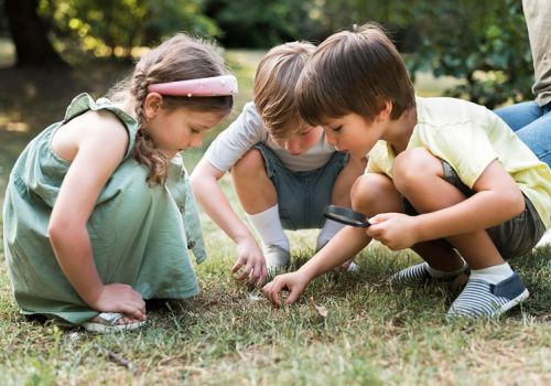 images/blog-images/20-03-25/2148673152%201-min.jpg#joomlaImage://local-images/blog-images/20-03-25/2148673152 1-min.jpg?width=788&height=524