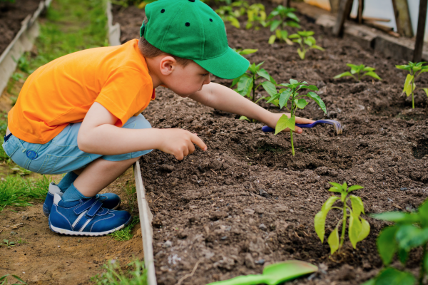 Preschool Nursery Children & The Benefits of Gardening